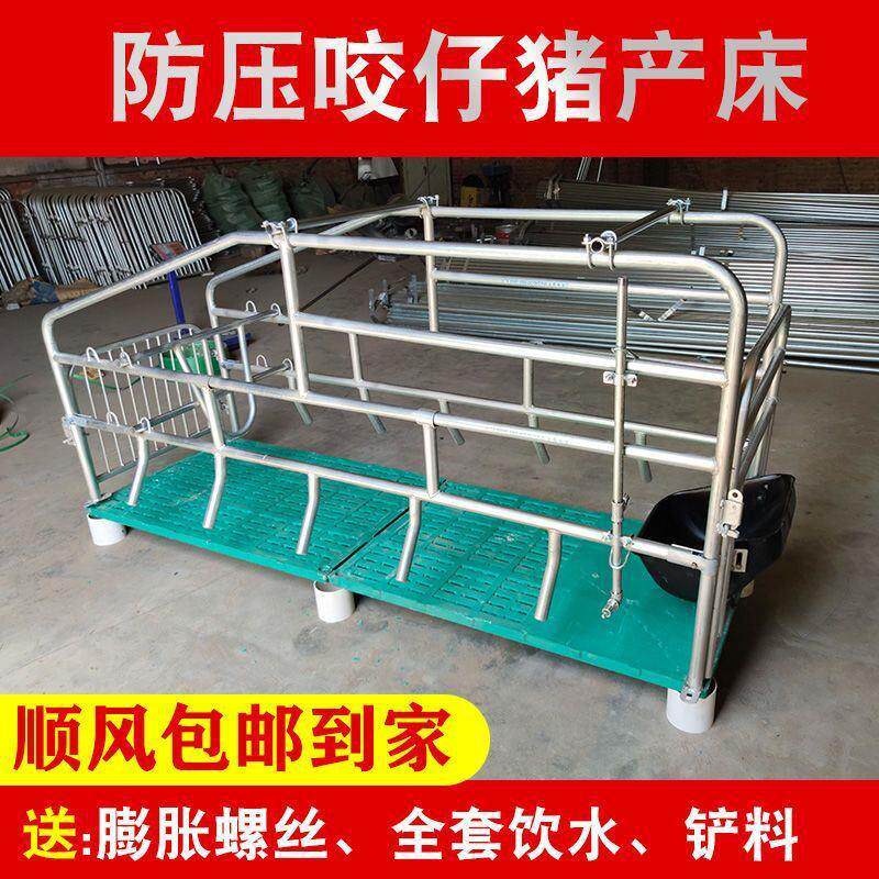 母猪产床定位栏分娩单体母猪产床栏产保床限位落地母猪床一体其他