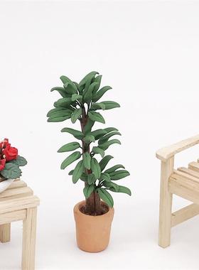1：12迷你娃娃屋dollhouse家具场景摆件绿植盆栽巴西木发财树盆栽
