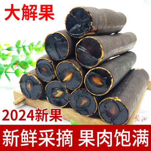 便秘果缅甸正品野生大解果随便果正品腊肠果番泻排毒特级2024新货