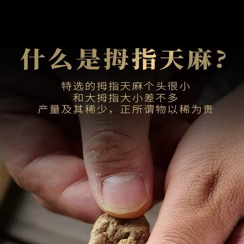 特级天麻昭通小乌麻中药材拇指麻粉小天麻干头疼