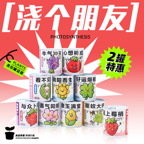 罐头植物创意趣味绿植