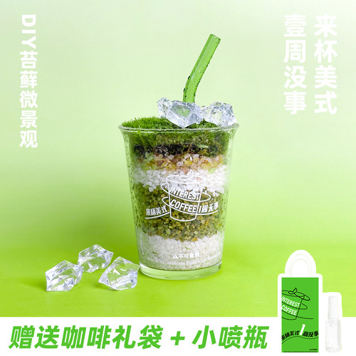 美式咖啡苔藓微景观绿植摆件