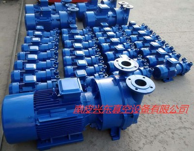 15KW水环式真空泵2BVA5161水环真空泵铜电机真空泵