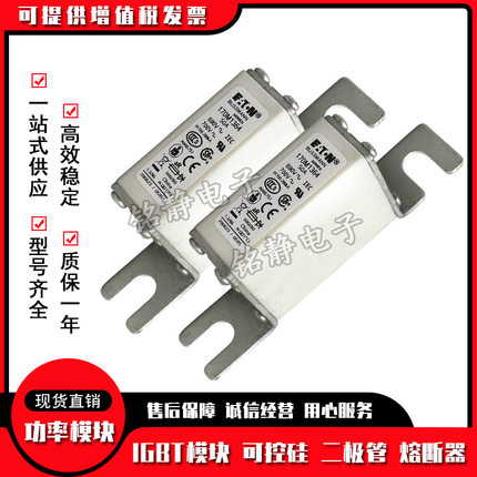 170M1363 170M1364 170M1365 170M1366巴斯曼熔断器现货170M1367