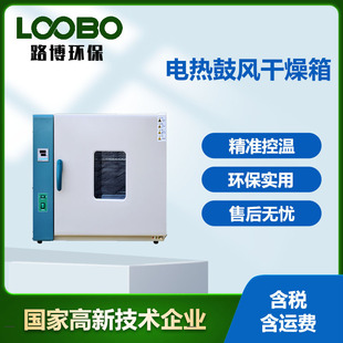 热风循环烘箱 开门自动断电PID智能控温仪表 电热鼓风干燥箱