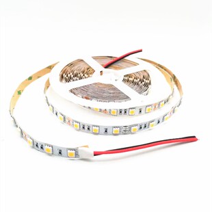 准色温5000K灯带12V5050不防水5000K奶白色灯带 24V防水5000K灯条