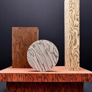 阿尔皮树木单板背景墙意大利特色艺术单板墙板装饰板Uv板