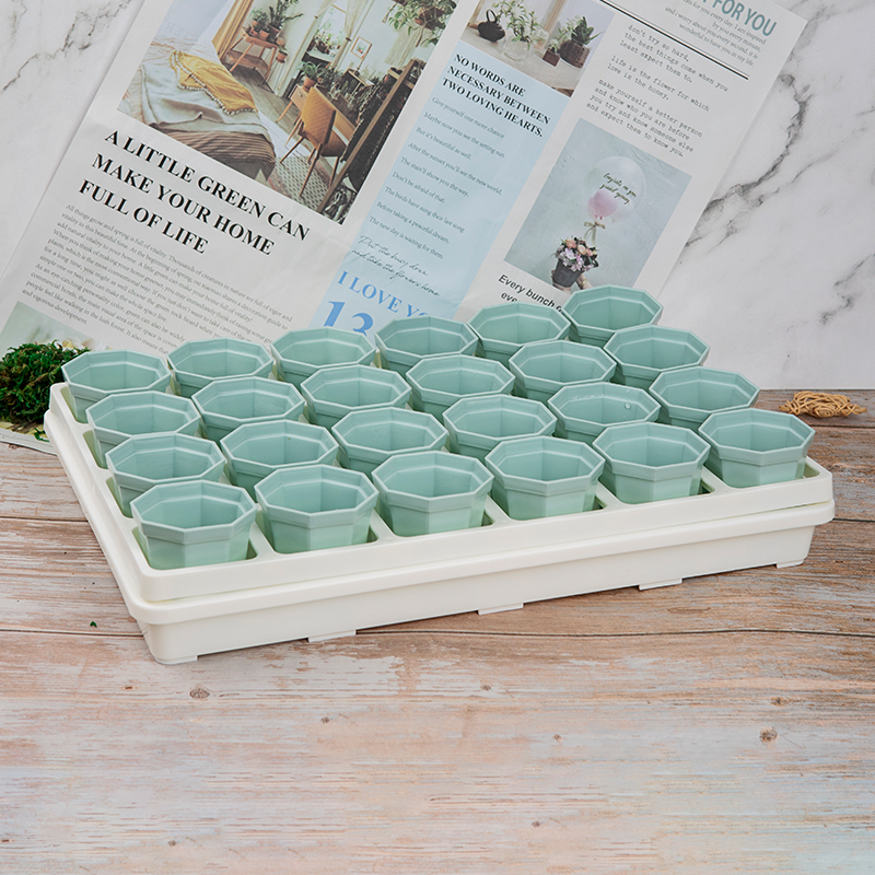 多肉花盆小方盆24孔托架小白方y7cm黑方带托架植物育苗盆蓄水托盘