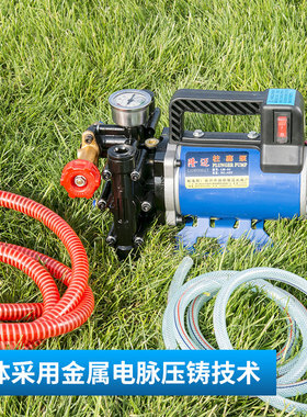 手提式打药机农用电动果树喷雾t器12V48V60V220伏高压双缸柱塞药