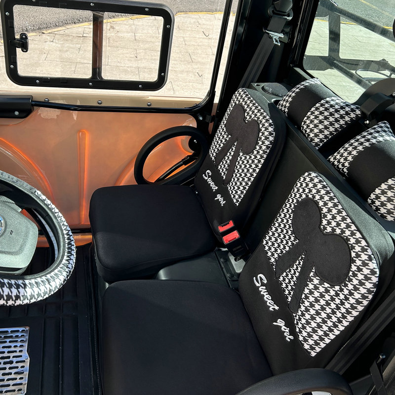 新能源两座 大阳电动车r两座永源电动汽车四轮车正副驾驶两座座套