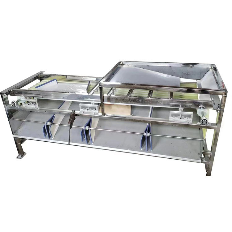 农用选果机 山竹筛选机 桂圆分级机 商用皮带分选机 不伤果,清洗/食品/商业设备,选果机/分选机,淘宝优惠券,粉丝福利购,淘宝优惠卷