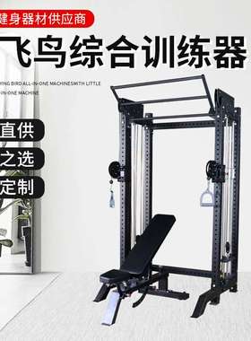 REP多功能小龙门卧推举重台高称重小飞鸟深蹲架综合训练器