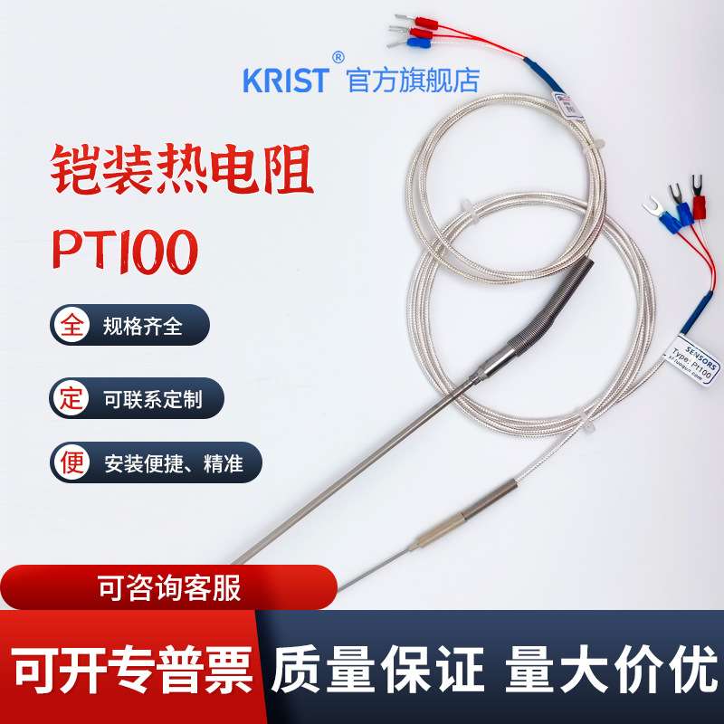 铠装PT100铂热电阻温度探头PT1000微细探针测温度传感器WZPK-191