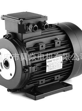 三相异步交流空心轴电动机4极适合用于清洗机高压泵内轴24mm380V