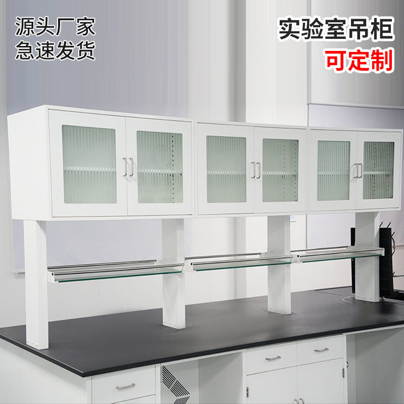试验台全钢立柜全木实验柜不锈钢墙柜实验台带吊柜收纳墙吊架桌子