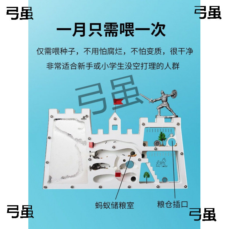 免装版蚂蚁城堡蚂蚁工坊送蚁后卵学生观察蚁巢箱室屋家园巢穴