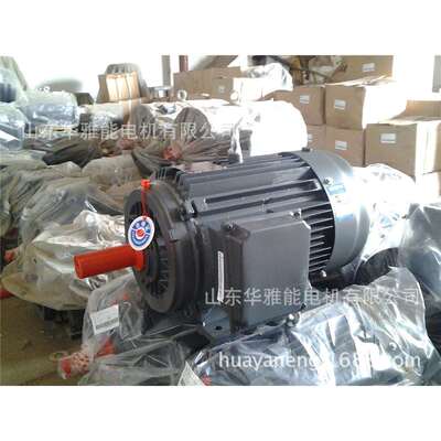 可替代湘潭电机HM2-90S-6-0.75KW立式卧式上线侧线380VIP55电机