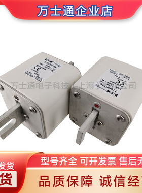 170M6238/6239/6240/6241/6242/6243/6244全新熔断器现货