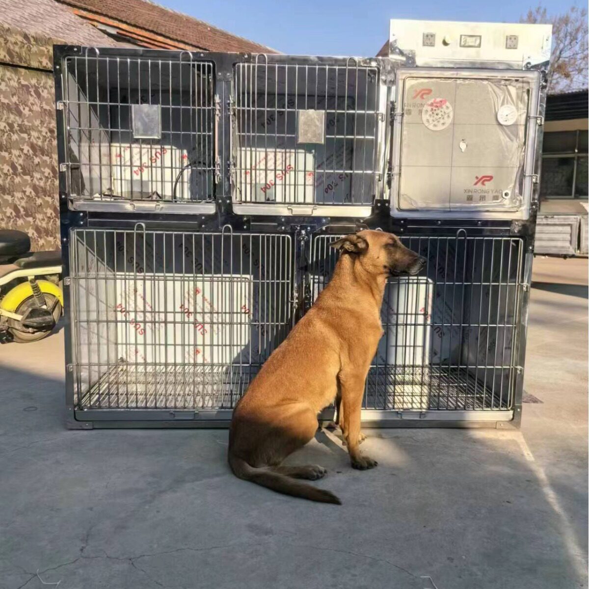 304实心不锈钢狗笼 宠物猫狗展示笼柜住院笼宠物店多层寄养笼