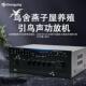 适配跨境大功率蓝牙USB SD卡播放燕子功放机厂家