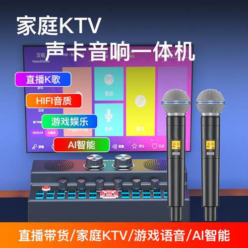 适配SY7声卡音响一体机跨境英文款大功率k歌蓝牙音箱家庭ktv卡拉O