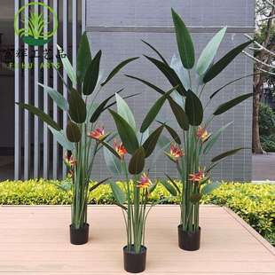 仿真绿植天堂鸟水美人鹤望兰盆景组合造景装饰景观摆件厂家