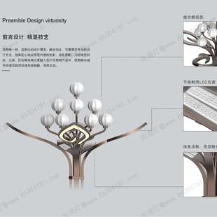 新农村市政户外工程广场灯百卉含英太阳能路灯高杆灯厂家市电路灯