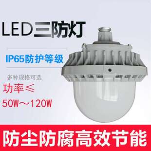 SZSW7155 LED泛光灯 80W 100W LED应急工作灯SZSW7155F SZSW7155Q