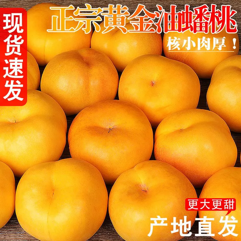 正宗黄金油蟠桃新鲜头茬现摘水果应当季香甜多汁核小肉厚产地直发