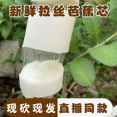 吃播拉丝芭蕉 现摘现发天然芭蕉芯拉丝香蕉杆茎蕉实心拉丝芭蕉