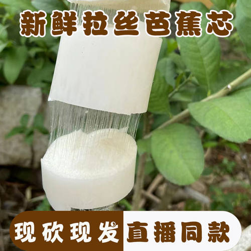 新鲜拉丝芭蕉心实心主播同款拉丝