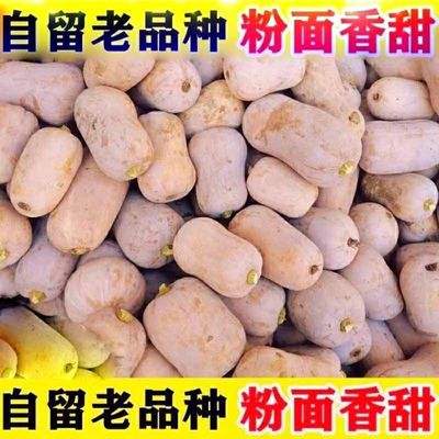农家金枕头南瓜粉面香甜正宗老南瓜超甜粉糯孕妇宝宝辅食整箱包邮