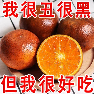 【稀有品种】乌柑正宗乌柑当季新鲜水果橘子桔子柑橘包邮新鲜