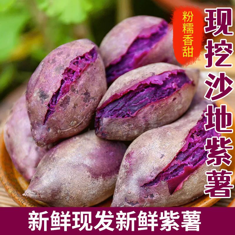 沙地紫薯新鲜紫罗兰香甜软糯】蜜薯小番薯软糯香甜板栗薯一整箱