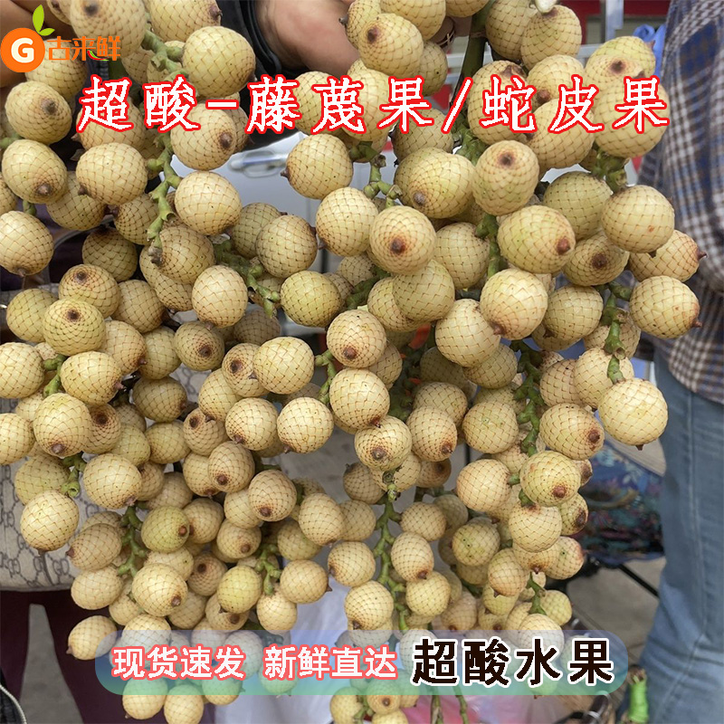 野外藤蔑果蛇皮果新鲜网红白皮果超酸孕妇水果现摘省藤果整箱包邮