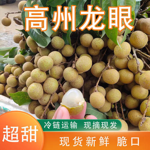 顺丰广东高州石峡老树储良龙眼新鲜水果现摘现发孕妇滋养大果桂圆