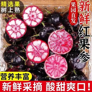 红果参新鲜现摘蜘蛛果脆稀有算盘果红果参当季精品水果批发新鲜