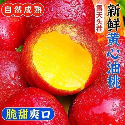 红油桃【红皮黄肉】正宗头茬新鲜油桃水果应当季多汁爽口桃子批发