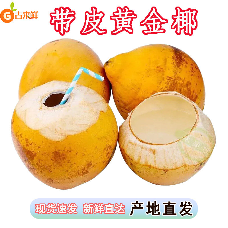 带皮黄金椰子现摘现发当季新鲜椰子椰青黄椰子水孕妇水果整箱包邮