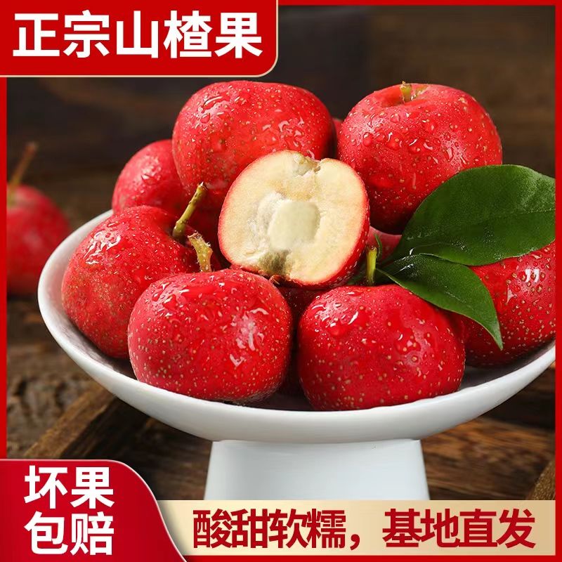 新鲜山楂果当年新鲜山楂糖葫芦山楂批发鲜果水果正宗山东山楂新鲜