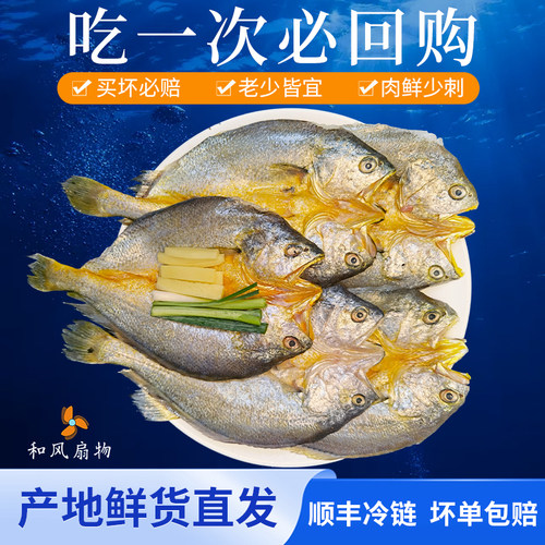 东海黄花鱼鲞冷冻免洗免调味