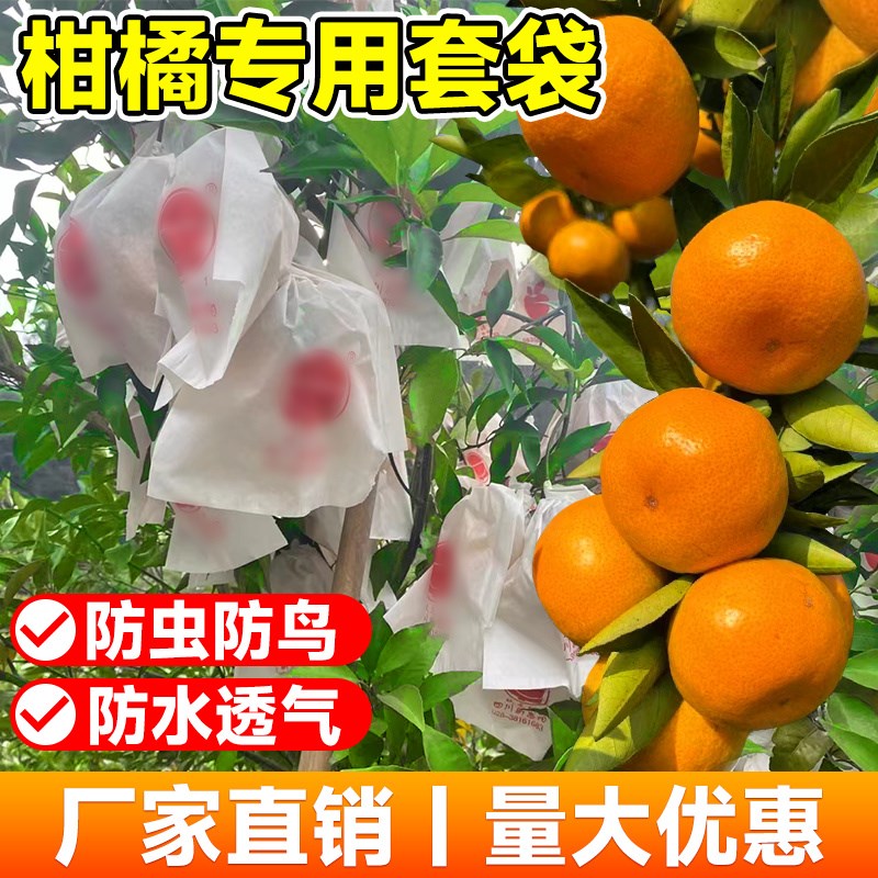 速发柑橘套袋袋耙耙石橘子果水丑橘橙子防虫防鸟柑榴沃柑袋果套袋