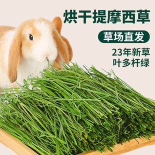 速发提草烘干摩新西草草段饲料食物兔子猪豚鼠草料兔干草牧草