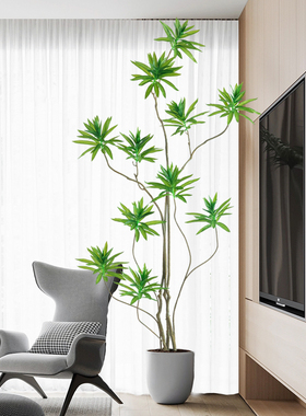 速发风大型室内仿生绿厅植物百合竹盆栽装植落地客饰盆景
