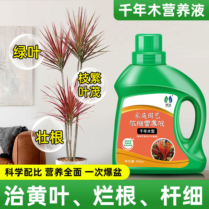 速发千果木营养液肥料龙植树盆栽花卉绿血年树多肉通用水溶肥
