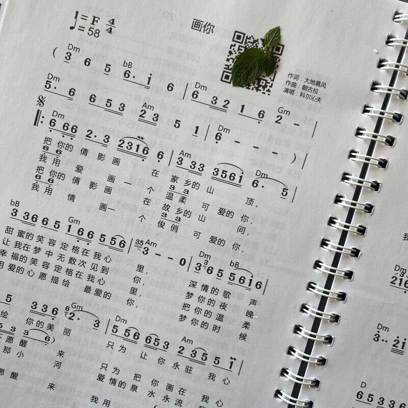 速发有声简谱歌本经典老歌流行歌曲民歌红歌大字体活页(带音)