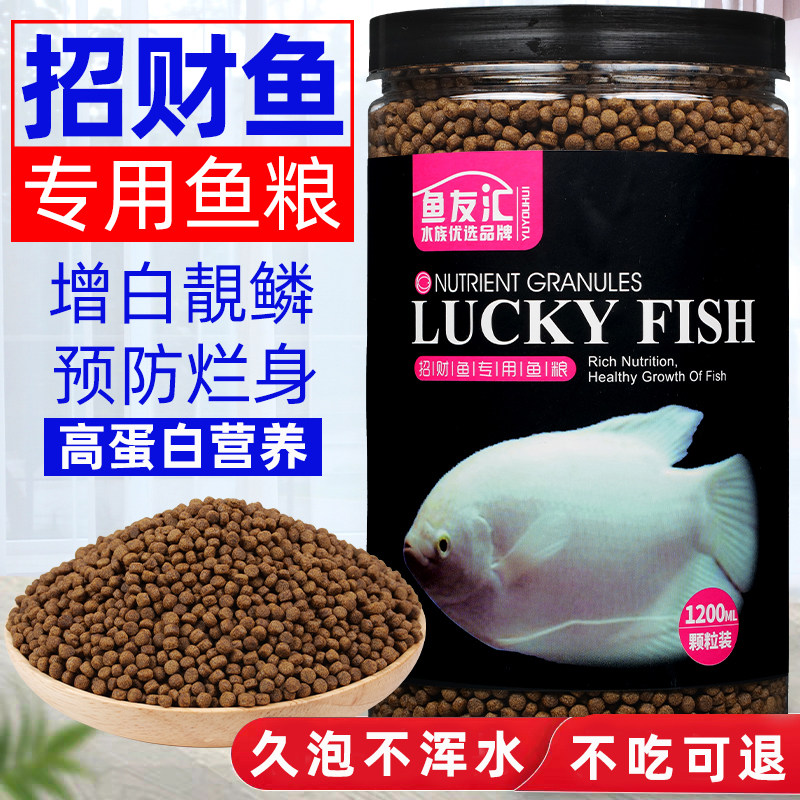 速发招财鱼鱼料鱼食抗病防烂身饲热带型赏鱼发财鱼上浮观鱼粮