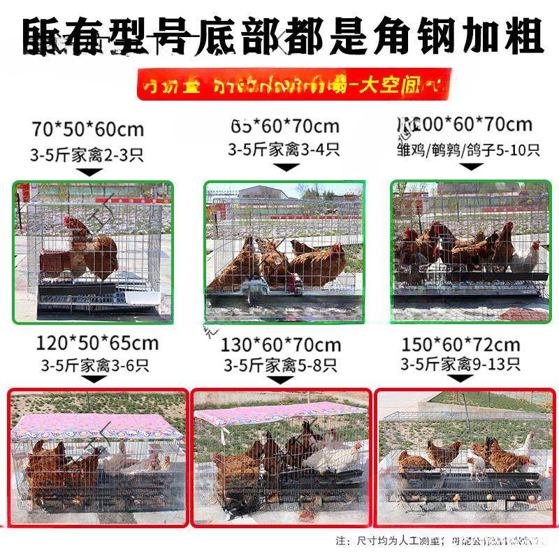 鸡笼子家用室外大号养鸡专用笼养殖笼室内鸡舍加密鸭鹅铁丝网鸡笼