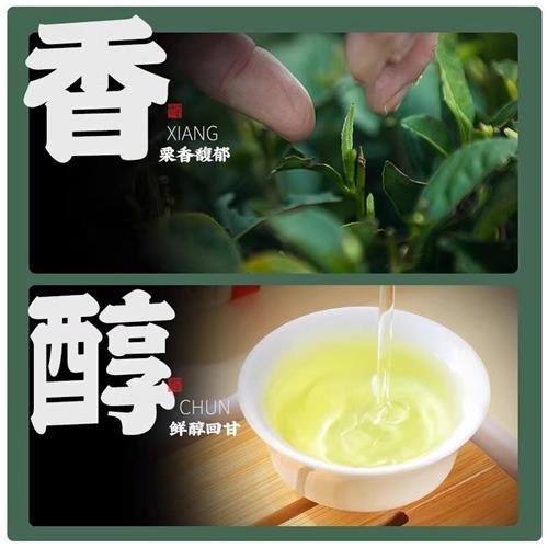 陈一凡雀舌茶叶  2024新茶 正宗高山绿茶口粮茶袋装125g