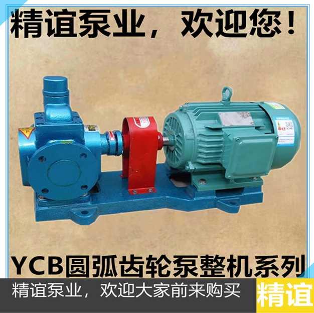 .包邮圆弧齿轮油泵YC2./0.6润滑泵 增压泵B 燃油泵 齿轮自泵吸5泵